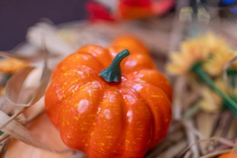 Halloween в казино «Сенатор» (31.10.2025)