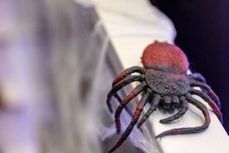 Halloween в казино «Сенатор» (31.10.2025)