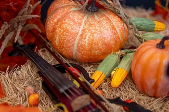 Halloween в казино «Сенатор» (31.10.2025)